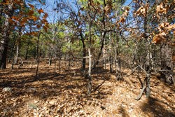 Stone Bridge Phase II Tract 97