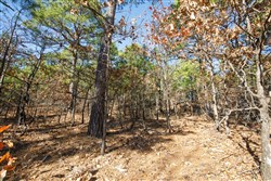Stone Bridge Phase II Tract 97