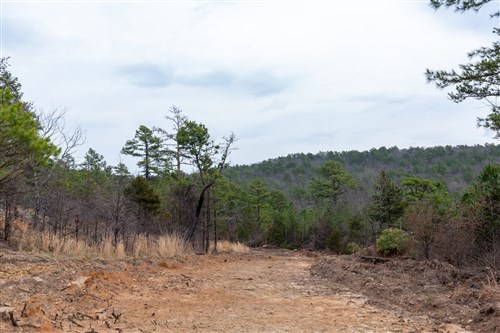 Stone Bridge Phase III Tract 137