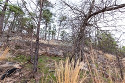 Stone Bridge Phase III Tract 137