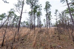 Stone Bridge Phase III Tract 137