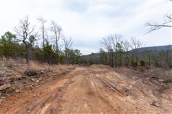 Stone Bridge Phase III Tract 138