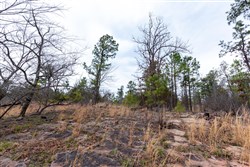 Stone Bridge Phase III Tract 138