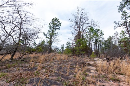Stone Bridge Phase III Tract 138