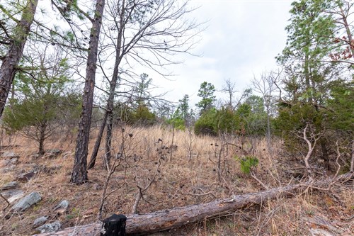 Stone Bridge Phase III Tract 138