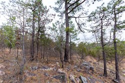 Stone Bridge Phase III Tract 138