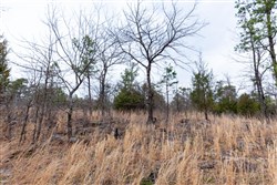 Stone Bridge Phase III Tract 138