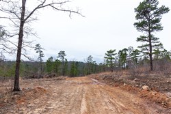 Stone Bridge Phase III Tract 138