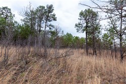 Stone Bridge Phase III Tract 139
