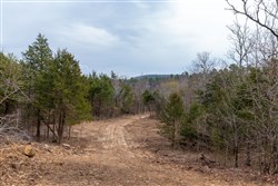 Stone Bridge Phase III Tract 147