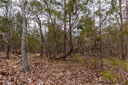 Stone Bridge Phase III Tract 147