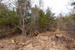 Stone Bridge Phase III Tract 147