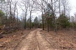 Stone Bridge Phase III Tract 148