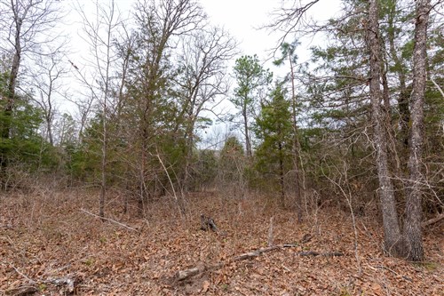 Stone Bridge Phase III Tract 148