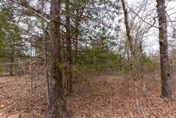 Stone Bridge Phase III Tract 148