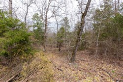 Stone Bridge Phase III Tract 148