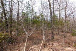 Stone Bridge Phase III Tract 148