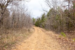 Stone Bridge Phase III Tract 149