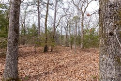 Stone Bridge Phase III Tract 149