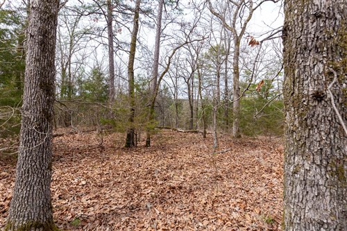 Stone Bridge Phase III Tract 149