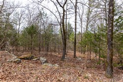 Stone Bridge Phase III Tract 149