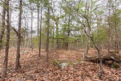 Stone Bridge Phase III Tract 149