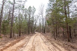 Stone Bridge Phase III Tract 150