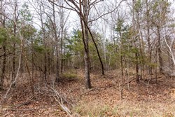 Stone Bridge Phase III Tract 150