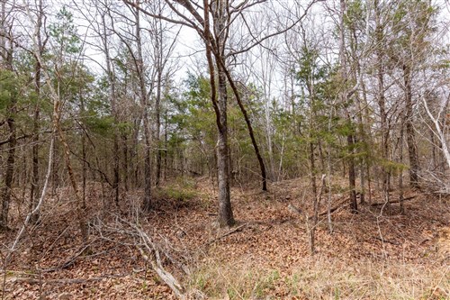 Stone Bridge Phase III Tract 150