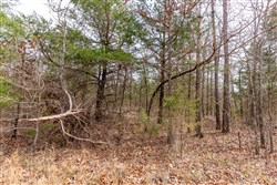 Stone Bridge Phase III Tract 150
