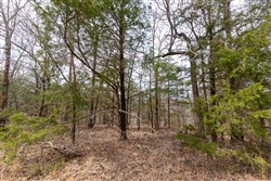 Stone Bridge Phase III Tract 150