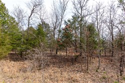 Stone Bridge Phase III Tract 150