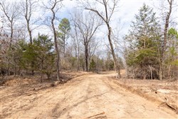 Stone Bridge Phase III Tract 153