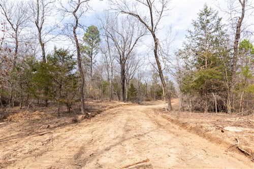 Stone Bridge Phase III Tract 153