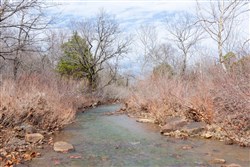 Stone Bridge Phase III Tract 153