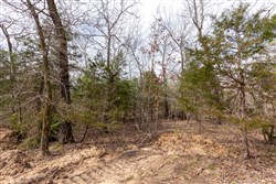Stone Bridge Phase III Tract 153