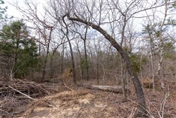 Stone Bridge Phase III Tract 153