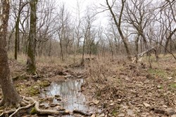 Stone Bridge Phase III Tract 158