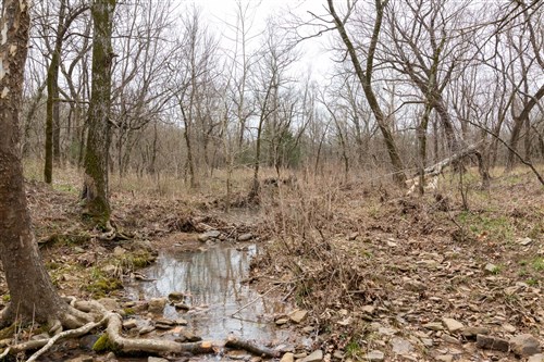 Stone Bridge Phase III Tract 158