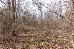 Stone Bridge Phase III Tract 158