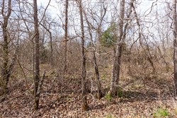 Stone Bridge Phase III Tract 158