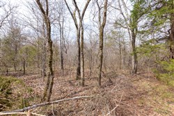 Stone Bridge Phase III Tract 158