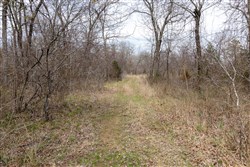 Stone Bridge Phase III Tract 159
