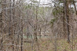 Stone Bridge Phase III Tract 159
