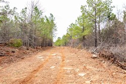 Stone Bridge Phase III Tract 173