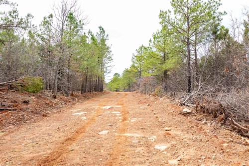 Stone Bridge Phase III Tract 173