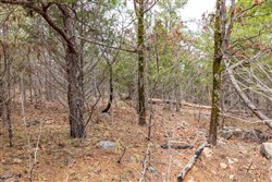 Stone Bridge Phase III Tract 173