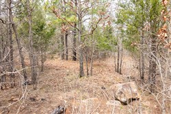 Stone Bridge Phase III Tract 173