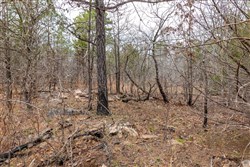 Stone Bridge Phase III Tract 173