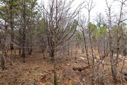 Stone Bridge Phase III Tract 173
